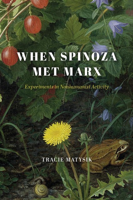 When Spinoza Met Marx, Tracie Matysik