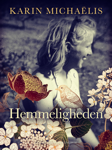 Hemmeligheden, Karin Michaëlis