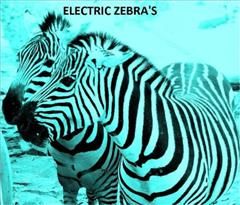 Electric Zebra's, 99 Cent eBook