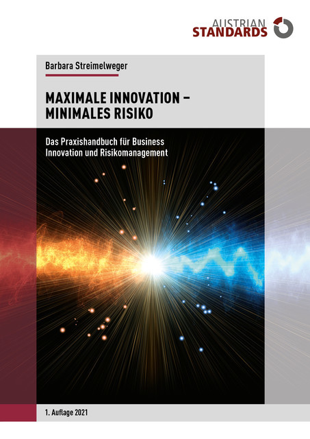 Maximale Innovation – Minimales Risiko, Barbara Streimelweger