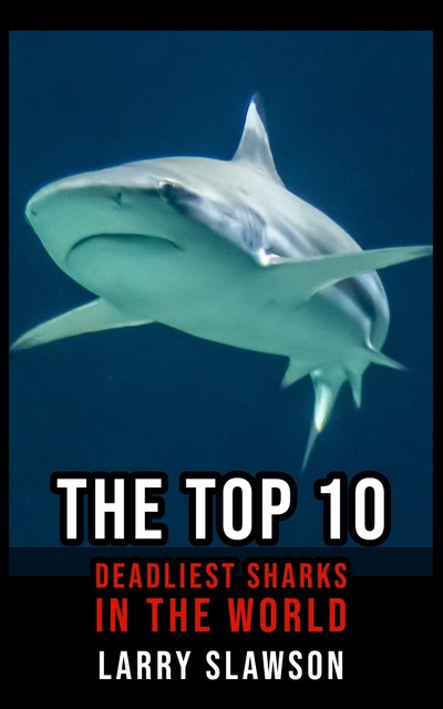 The Top 10 Deadliest Sharks in the World, Larry Slawson