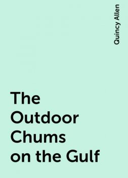 The Outdoor Chums on the Gulf, Quincy Allen