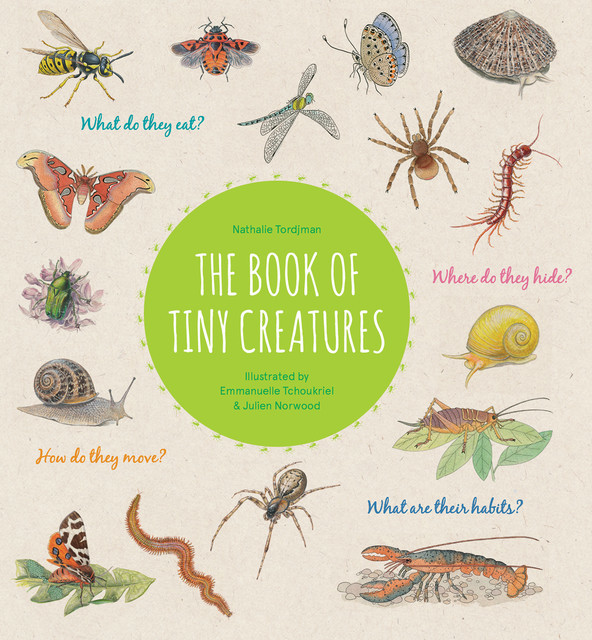 The Book of Tiny Creatures, Nathalie Tordjman
