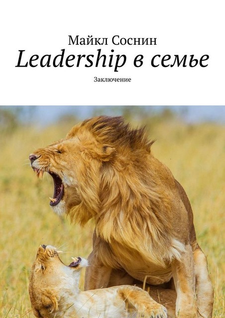 Leadership в семье. Заключение, Майкл Соснин