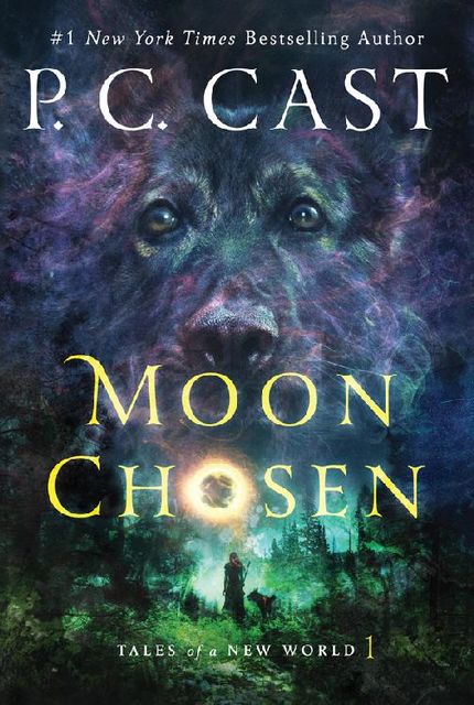 Moon Chosen, P.C. Cast