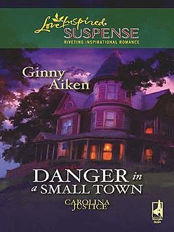 Danger in a Small Town, Ginny Aiken