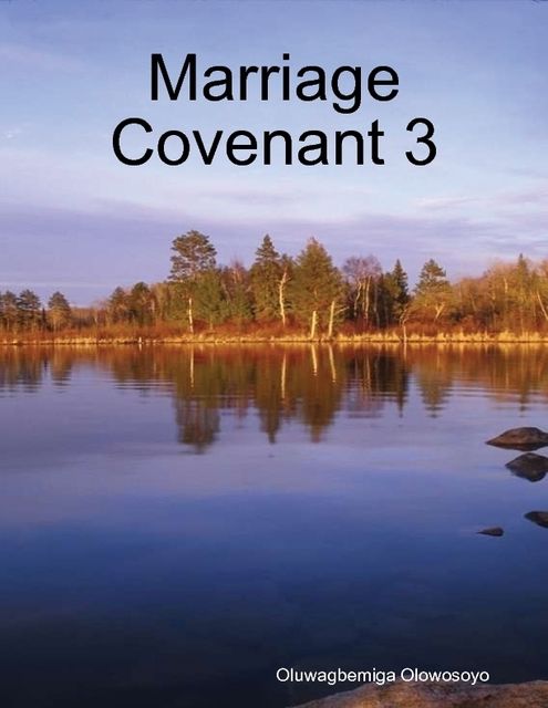 Marriage Covenant 3, Oluwagbemiga Olowosoyo