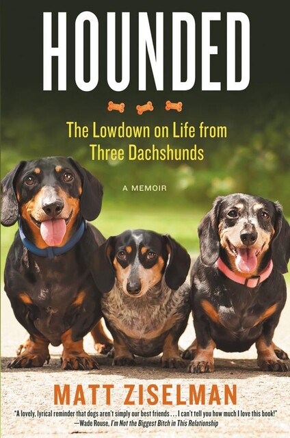 Hounded, Matt Ziselman