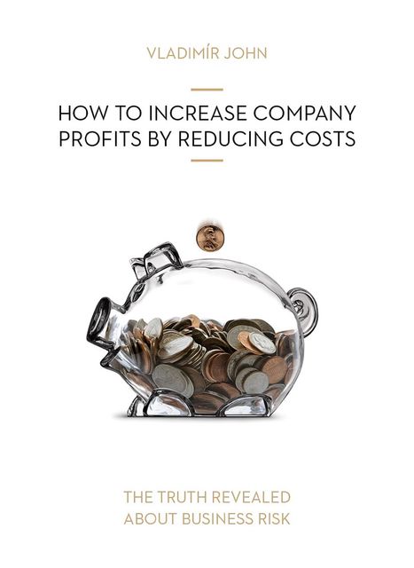HOW TO INCREASE COMPANY PROFITS BY REDUCING COSTS, Vladimir John