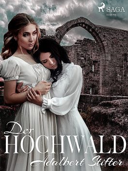 Der Hochwald, Adalbert Stifter