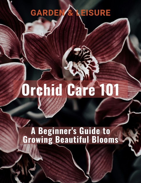 Orchid Care 101, amp, Garden, Leisure