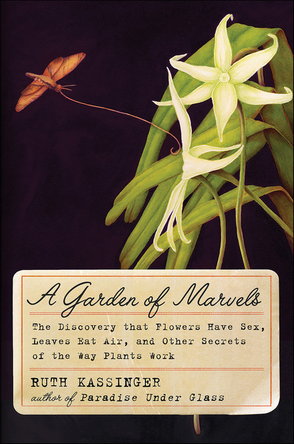 A Garden of Marvels, Ruth Kassinger