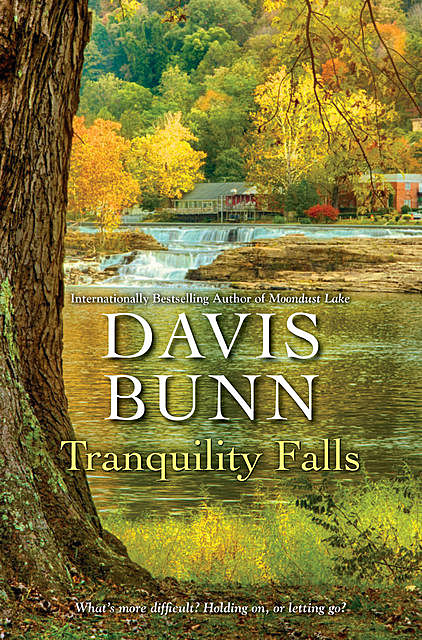 Tranquility Falls, Davis Bunn