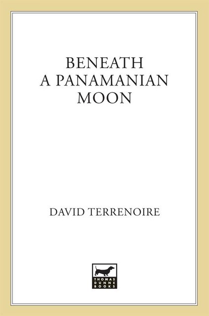 Beneath a Panamanian Moon, David Terrenoire