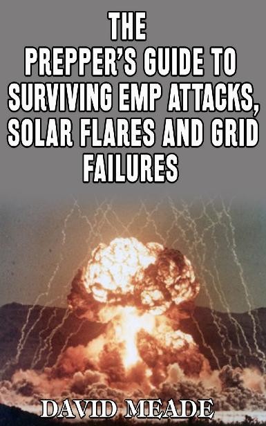 The Prepper's Guide to Surviving EMP Attacks, Solar Flares and Grid Failures, David Meade