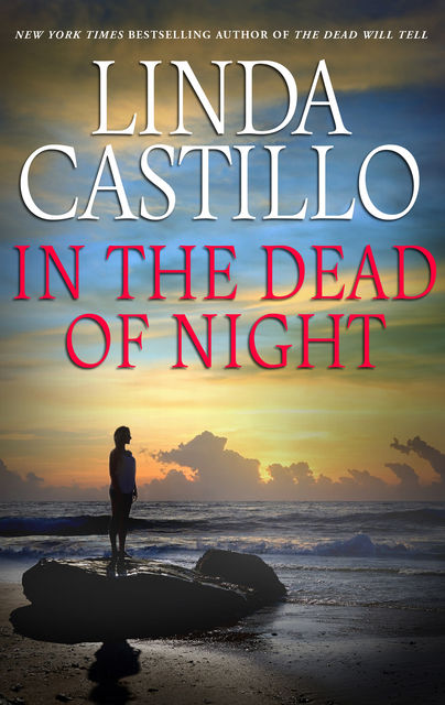 A Cry In The Night, Linda Castillo