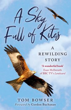 A Sky Full of Kites, Tom Bowser