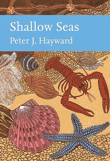 Shallow Seas, Peter Hayward