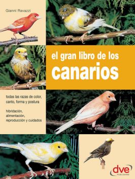 El gran libro de los canarios, Gianni Ravazzi