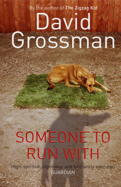 Someone to Run With, David Grossman