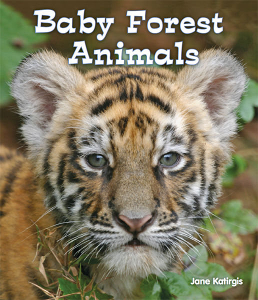 Baby Forest Animals, Jane Katirgis