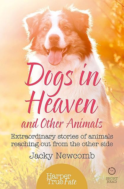 Dogs in Heaven: and Other Animals, Jacky Newcomb