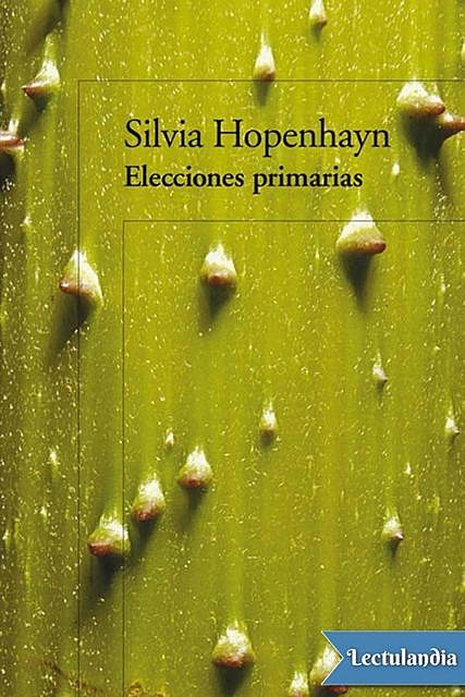 Elecciones primarias, Silvia Hopenhayn