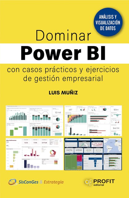 Dominar Power BI, Luis Muñiz González
