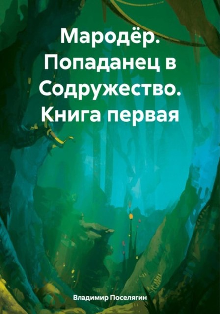 Мародер. Попаданец в Содружество. Книга первая, Владимир Поселягин