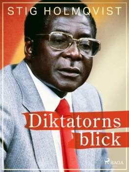 Diktatorns blick, Stig Holmqvist