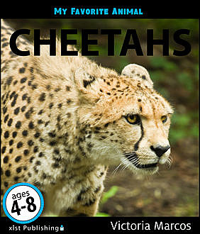 My Favorite Animal: Cheetahs, Victoria Marcos