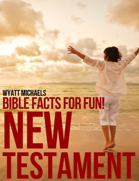 Bible Facts for Fun! New Testament, Wyatt Michaels