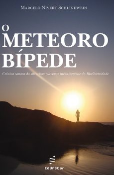 O meteoro bípede, Marcelo Nivert Schlindwein