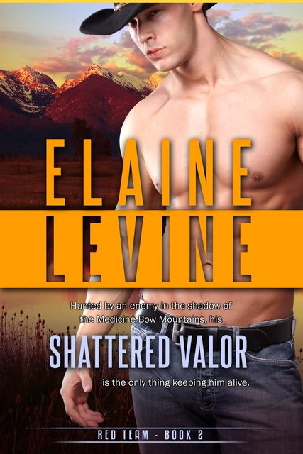 Shattered Valor, Elaine Levine