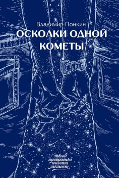 Осколки одной кометы, Владимир Понкин