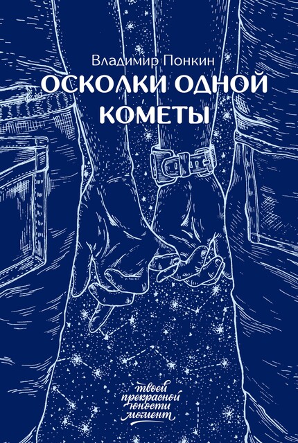 Осколки одной кометы, Владимир Понкин