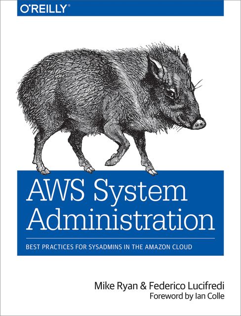 AWS System Administration, Mike Ryan, Federico Lucifredi