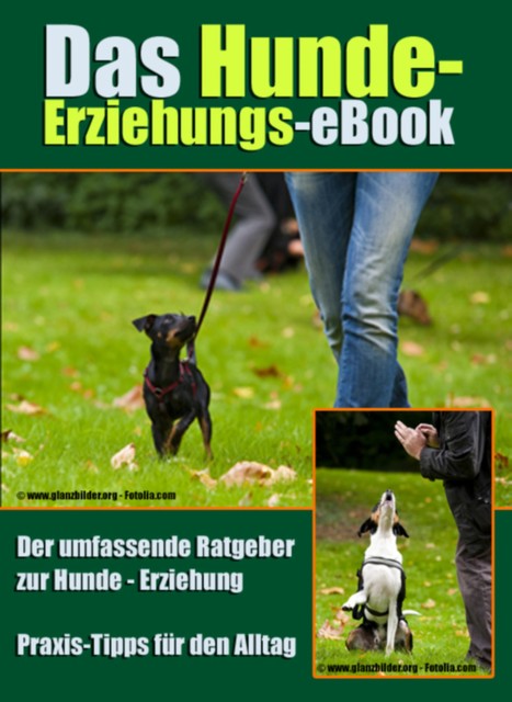 Das Hunde-Erziehungs-eBook, Robert Zimmermann