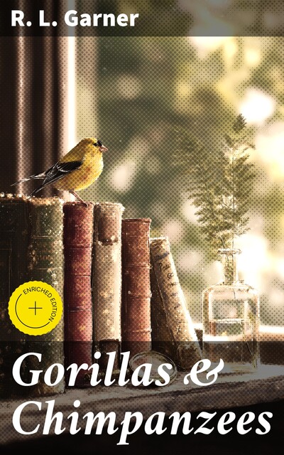 Gorillas & Chimpanzees, R.L. Garner