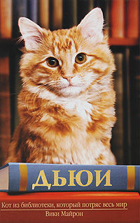 Дьюи. Библиотечный кот, который потряс весь мир, Вики Майрон