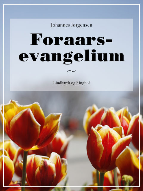 Foraars-evangelium, Johannes Jørgensen