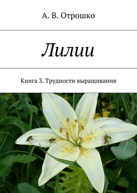 Лилии, А.В. Отрошко