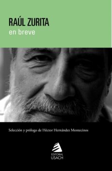 Raúl Zurita poesía en breve, Raúl Zurita