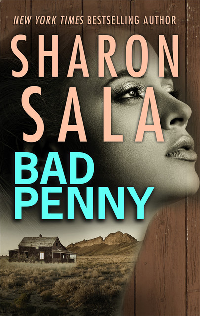 Bad Penny, Sharon Sala