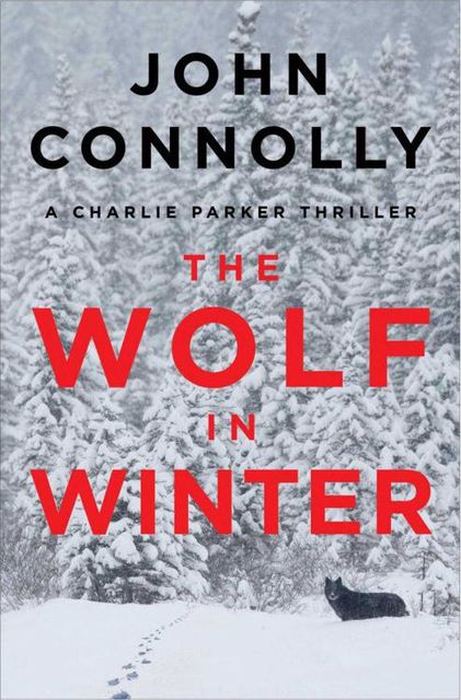 The Wolf in Winter, John Connolly