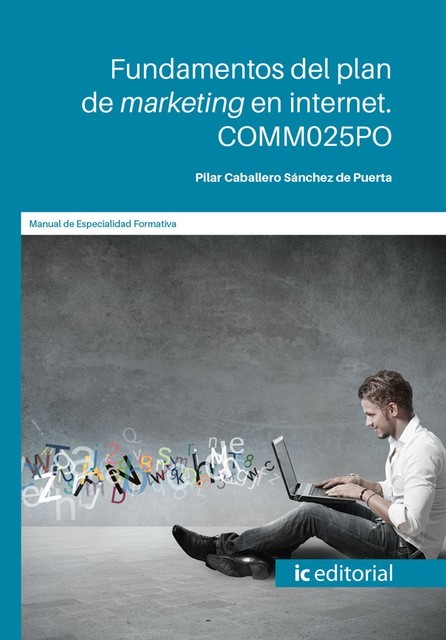 Fundamentos del plan de marketing en internet. COMM025PO, Pilar Caballero Sánchez de Puerta