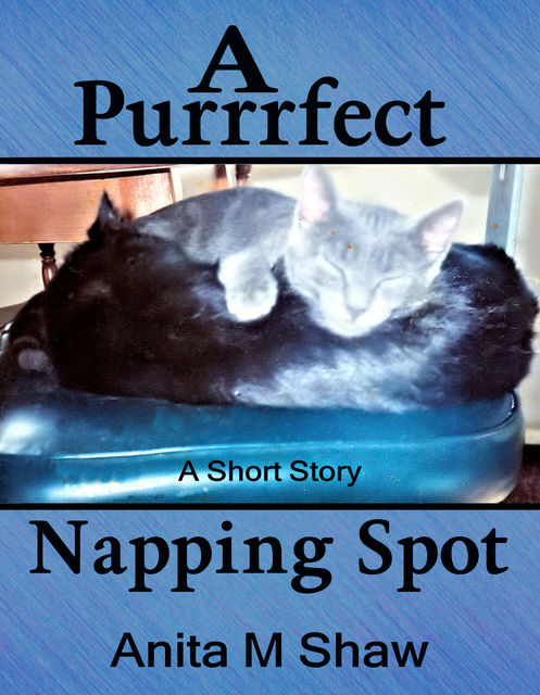 A Purrrfect Napping Spot, Anita M Shaw