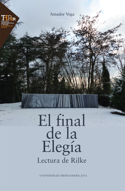 El final de la Elegía, Amador Vega