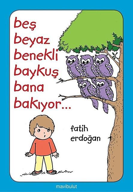 Beş Beyaz Benekli Baykuş Bana Bakıyor, Fatih Erdoğan