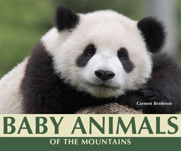 Baby Animals of the Mountains, Carmen Bredeson